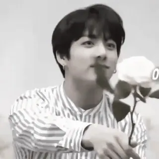 🧶 người đàn ông, hoa, hoa hồng, người, nụ cười, trắng đen telegram sticker
