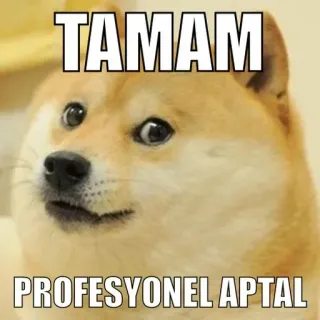 😔 doge TAMAM PROFESYONEL APTAL perro, meme, gracioso, animal telegram sticker