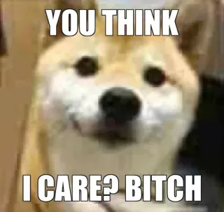 🔥 YOU THINK I CARE? BITCH doge, dog, meme, insult telegram sticker