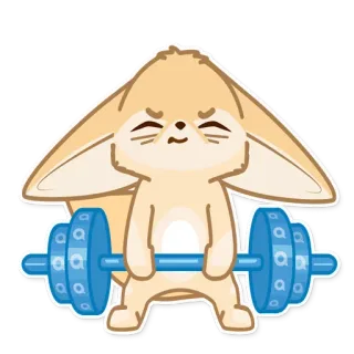 💪 Cartone animato, Animale, Fennec, Sollevamento pesi, Fitness, Esercizio, Palestra, Carino telegram sticker