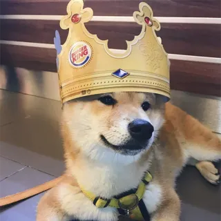 🤴 chien, shiba inu, burger king, couronne, mignon, animal de compagnie, animal telegram sticker