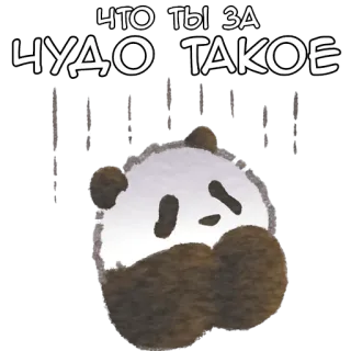🥹 ЧТО ТЫ ЗА ЧУДО ТАКОЕ 熊猫, 可爱, 动物, 俄语, 文本, 奇迹, 贴纸 telegram sticker