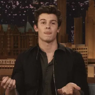 😛 Shawn Mendes shawn mendes, singer, celebrity, tongue out, portrait telegram sticker