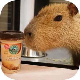 ☕ MT.RAINIER CAFFE LATTE telegram sticker