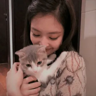 🦋 женщина, кошка, котёнок, домашнее животное, животное, милый, домашний telegram sticker