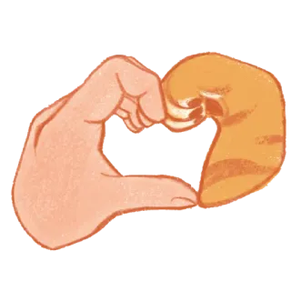 🫶 coeur, main, amour, chat, queue, animal, geste telegram sticker