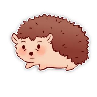 😳 ouriço, animal, fofo, desenho animado, adesivo telegram sticker