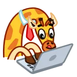 🧑‍💻