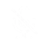 🎙