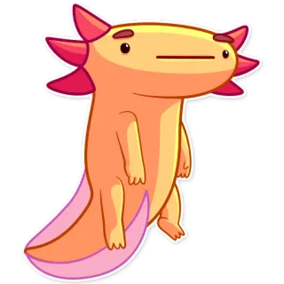 😐 axolotl, animale, carino, adesivo telegram sticker