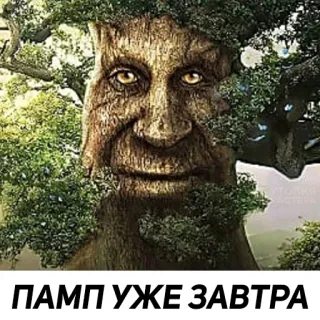 🙂 ПАМП УЖЕ ЗАВТРА arbre, visage, nature, meme, musculation, demain telegram sticker