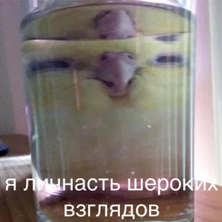 🌝 Я личность шероких взглядов pot, water, neus, glas, abstract, reflectie telegram sticker