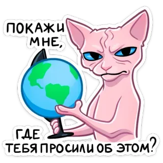 🌎 ПОКАЖИ МНЕ, ГДЕ ТЕБЯ ПРОСИЛИ ОБ ЭТОМ? Katze, Globus, Sphynx, lustig, Meme, Russisch telegram sticker