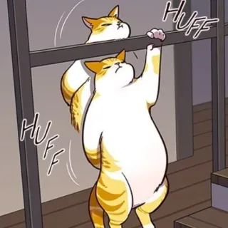 💪 HUFF
HUFF 고양이, 동물, 만화, 지친, 오르기 telegram sticker
