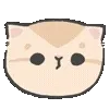 🐱