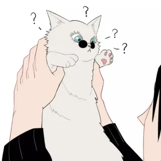 🐈 Katze, Sonnenbrille, Tier, süß, weiße Katze telegram sticker