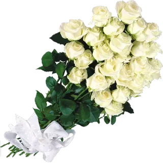 🌹 flower, bouquet, white roses, roses, floral whatsapp sticker