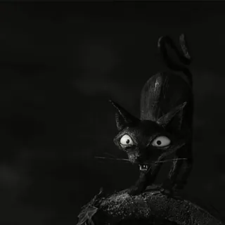 🐈‍⬛ mèo, mèo đen, Halloween, động vật, hoạt hình, rùng rợn telegram sticker