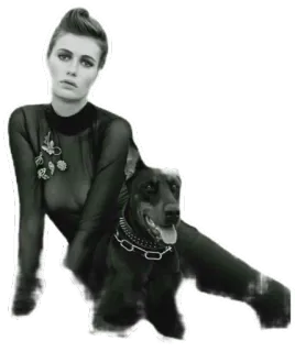 🐕 Frau, Hund, Dobermann, Haustier, Mode, Porträt telegram sticker
