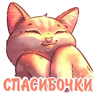 🙏 СПАСИБОЧКИ Katze, süß, Aufkleber, russisch, danke, rote Katze telegram sticker