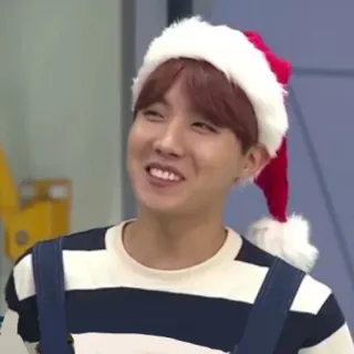 🍀 person, male, santa hat, christmas, festive, j-hope, k-pop, smiling telegram sticker