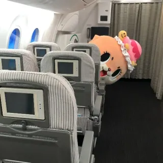🐻 avion, mascotte, intérieur, sièges, voyage, transport telegram sticker