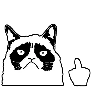 ✌ Grumpy Cat gato, gruñón, meme, dedo corazón, ofensivo whatsapp sticker