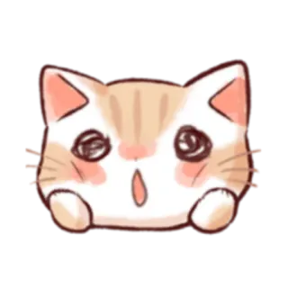 😱 кот, милый, животное, котенок, питомец, наклейка, иллюстрация whatsapp sticker