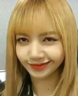 🐊 Lisa kpop, певица, женщина, лиса, blackpink, айдол, знаменитость, азиатка telegram sticker