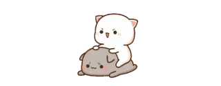 👿 gato, mono, animales, pegatina whatsapp sticker