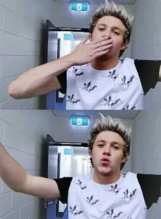 😘 Niall Horan cantante, pop, celebridad, Niall Horan telegram sticker