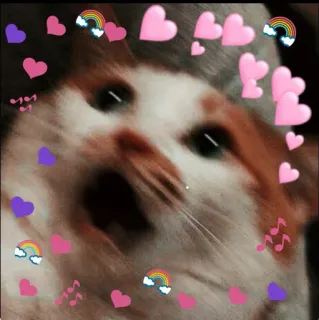 🌸KîTTí🌸s kang pack telegram stickers