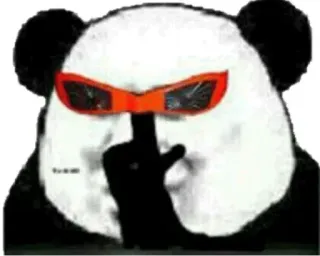 😎 panda, animal, middle finger, offensive, sunglasses telegram sticker
