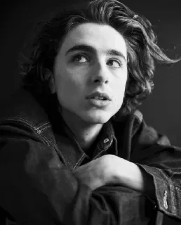 🦇 Timothée Chalamet actor, retrato, blanco y negro, celebridad telegram sticker