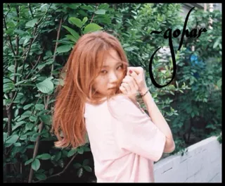 🥀 gohar 여자, 소녀, 인물사진, 아시아인, 한국인, 야외, 나무 telegram sticker