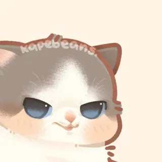 ✨ kapebeans. gato, óculos de sol, legal, animal, adesivo, fofo, animal de estimação telegram sticker