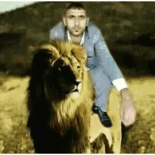 😐 man, lion, animal, suit, nature, wildlife telegram sticker