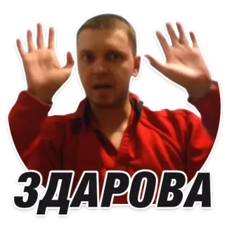 👋 ЗДАРОВА whatsapp sticker