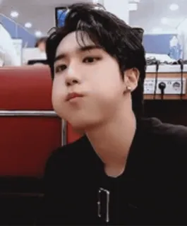 👍 kpop, han jisung, stray kids, idol, fofo, inflando as bochechas, cantor whatsapp sticker