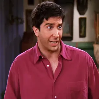 😩 Ross Geller Friends télévision, sitcom, drôle, comédie, personnage, homme, personne telegram sticker