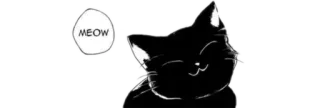 🎥 MEOW chat, miaou, mignon, animal, animal de compagnie telegram sticker