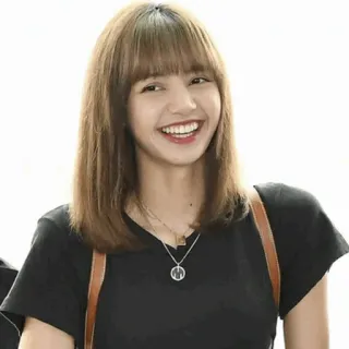 🌿 Lisa k-pop, айдол, певец, лиса telegram sticker