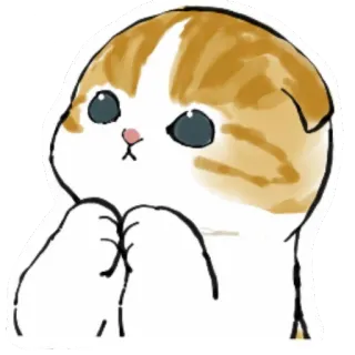 🥺 gato, gatito, lindo, animal, pegatina, mascota whatsapp sticker