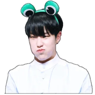 @jonafzan Seventeen telegram stickers