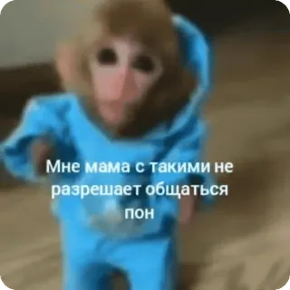🌟 Мне мама с такими не разрешает общаться scimmia, russo, meme, divertente, felpa con cappuccio whatsapp sticker