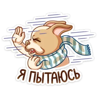 💨 Я пытаюсь собака, шарф, холод, ветер, милый, старается, зима telegram sticker