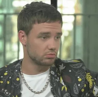 🌸 Liam Payne celebrity, singer, portrait, Liam Payne telegram sticker