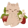 🍓