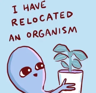 🌱 I HAVE RELOCATED AN ORGANISM 宇宙人, 植物, 面白い, 引越し, 生物 telegram sticker
