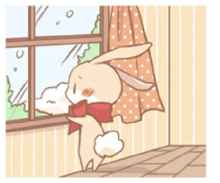 🙁 królik, słodki, zwierzę, okno, kreskówka whatsapp sticker